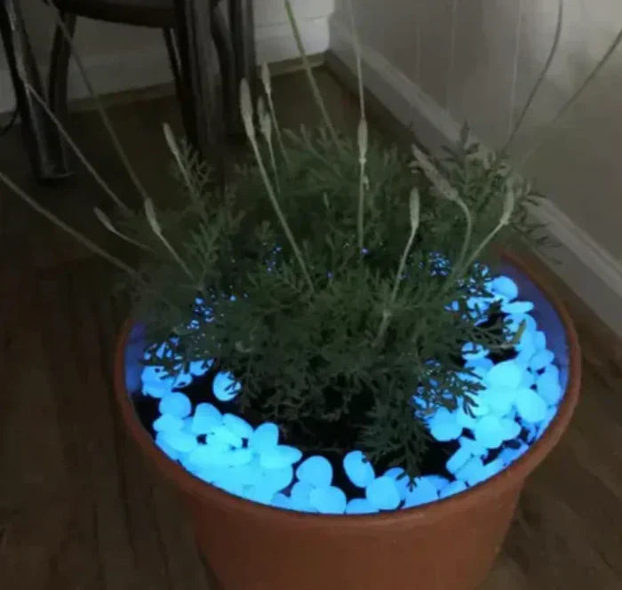 Piedras Mágicas para Jardín.