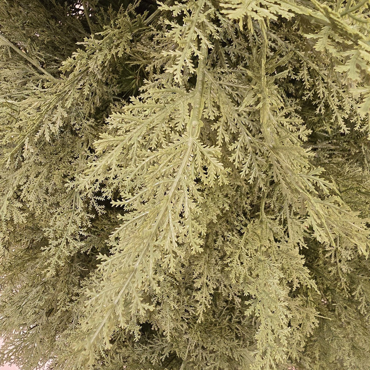 ÁRVORE PINHEIRO SUPER REALISTA NEW JERSEY 1240 GALHOS 2,10CM - PRÉ VENDA 2025